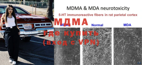 молекула духа Бежецк