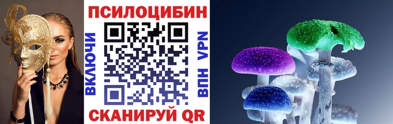 продажа наркотиков  Жуковка  Псилоцибиновые грибы Cubensis 